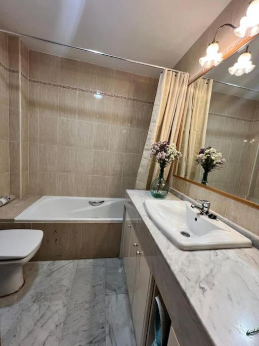 Apartamento Enriqueta Lozano Гранада Экстерьер фото